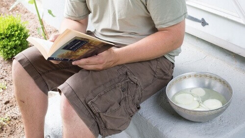 Løk som insektsmiddel