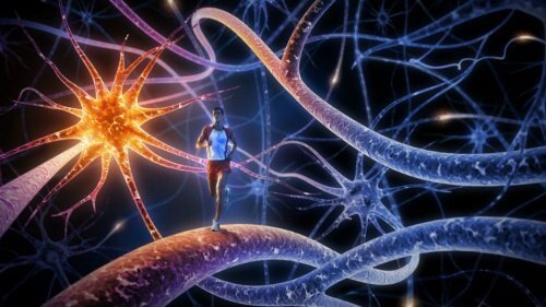 De 8 beste øvelsene for å styrke hjernen