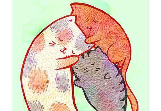 katt-familie