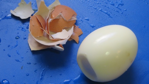 skrelle-egg