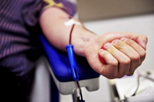 Hvordan bli en benmargsdonor