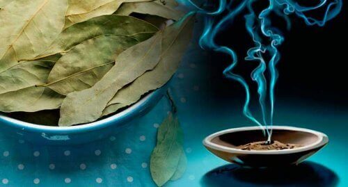 Bekjemp angst med denne eldgamle behandlingen med laurbærblader