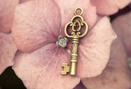 4 vaner lykkelige mennesker har