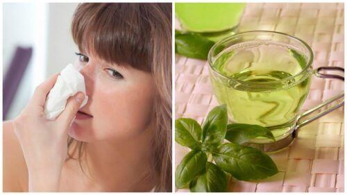 Bekjemp tett nese med disse 5 naturlige remediene