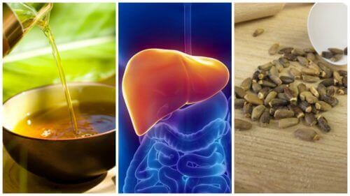 Hvordan bekjempe fettlever med 6 alternative behandlinger