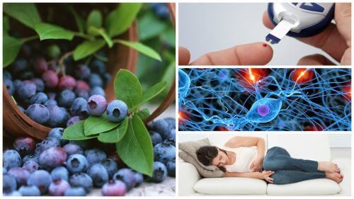 8 fantastiske fordeler med blåbær