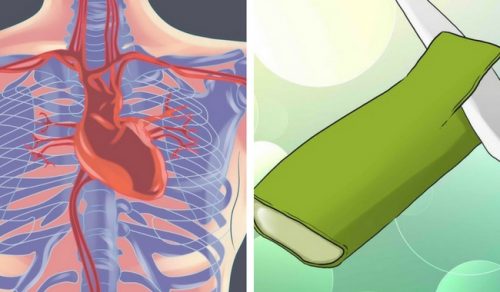 5 kraftige måter aloe vera tar vare på hjertet ditt på