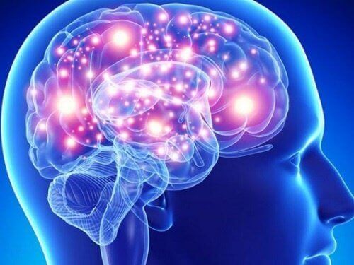 Hjernens helse: De beste urtene og krydderne for hjernen
