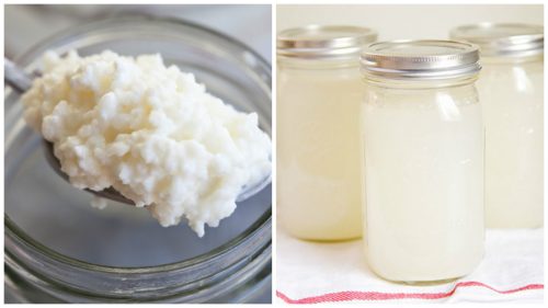Slik lager du kokosvann-kefir for å forbedre helsen din