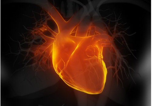 Se etter disse 6 tidlige tegnene på hjertesvikt