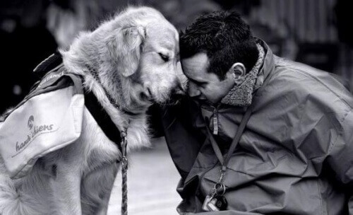 Slå deg sammen med en hund for å bekjempe hjemlengsel