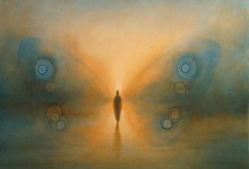 skygge med sommerfuglvinger