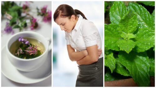 5 lindrende urter mot irritabel tarm-syndrom