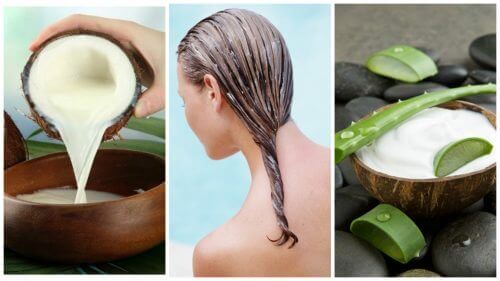 Bekjemp hårtap med denne aloe vera- og kokosmelkbehandlingen
