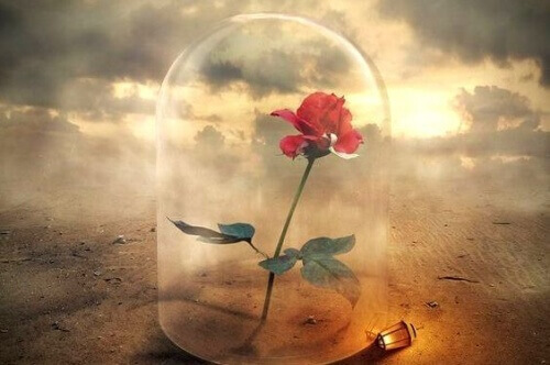 Lidelse gir mennesker en sterkere ånd