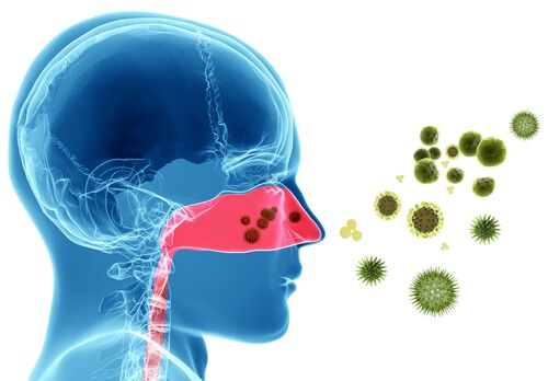 Allergener