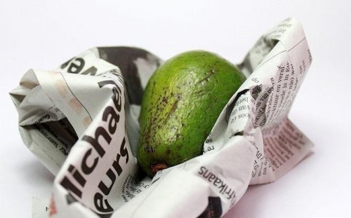 Avokado