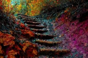 Livets stige: hvordan forbedre deg selv daglig i 5 trinn