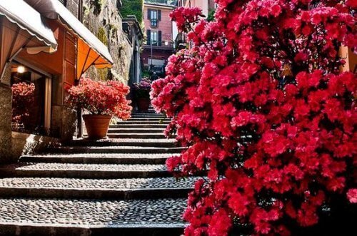 Trinn i koselig landsby