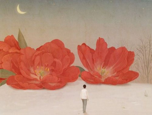 Kvinne og store, røde blomster