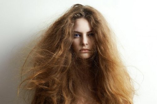 5 naturlige ingredienser for å behandle tørt hår