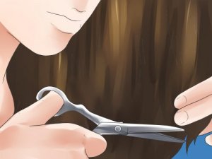 5 vanlige myter om menneskekroppen