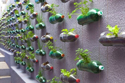 Vertikal hage av resirkulerte plastflasker