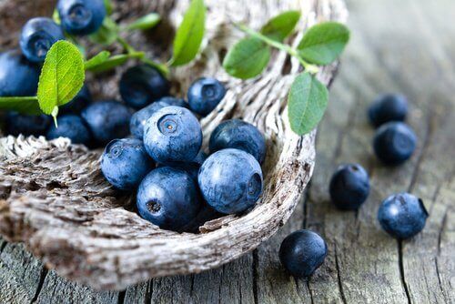 Lær hvordan du dyrker blåbær hjemme