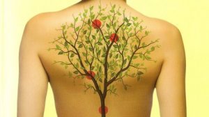 Relasjonen mellom dine organer og dine følelser