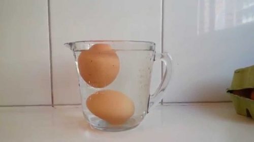 Egg i vann