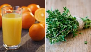 6 naturlige antibiotiske ingredienser