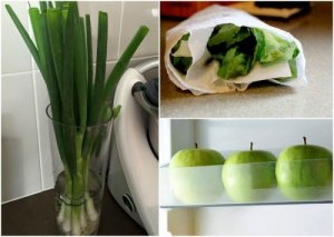 9 triks som vil hjelpe deg med å holde maten frisk lenger