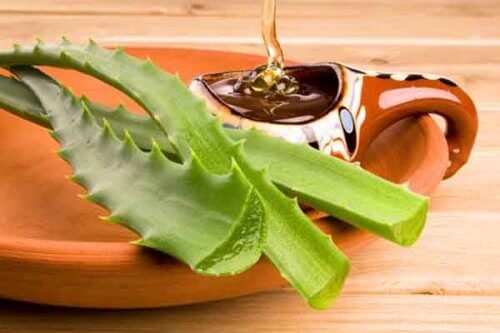 Aloe vera og honning