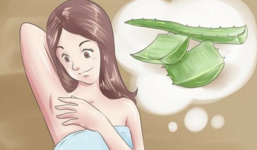 5 naturlige deodoranter som sier farvel til dårlig lukt 5 naturlige deodoranter som sier farvel til dårlig lukt