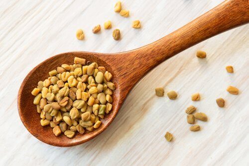 Bukkehornkløverfrø