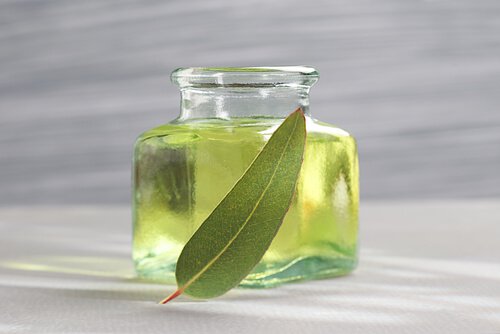 Eukalyptus mot bronkitt