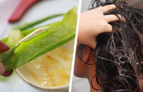 Aloe vera er blant remedier mot skallethet