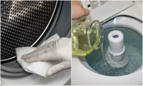 Hvordan eliminere mugg i vaskemaskinen med tre grønne løsninger