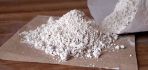 Hvordan bli kvitt lopper med diatoméjord