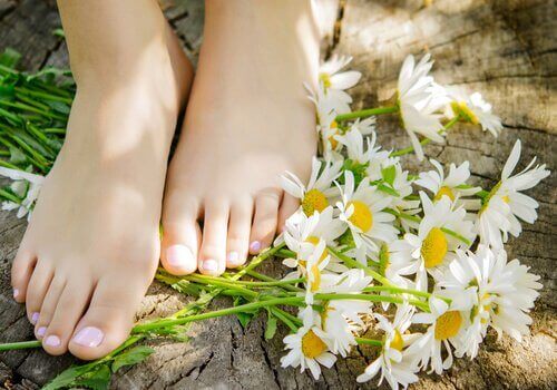 Kamilleblomster og føtter