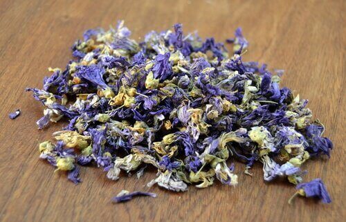 Kattost mot bronkitt