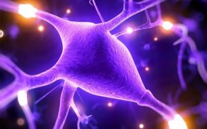 5 grunner til at magnesium hjelper til med å forbedre din mentale kapasitet