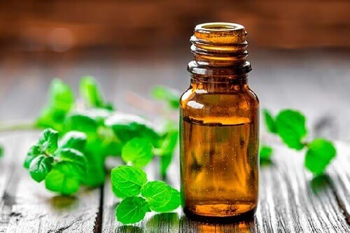 Mynte for å holde fluene i sjakk