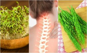 7 medisinske planter som forbedrer beinhelsen