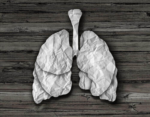 Lunger