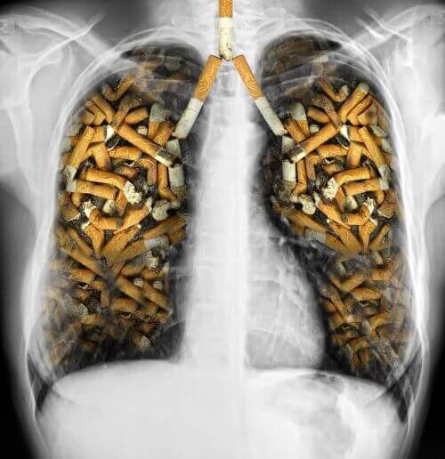 Lungene forgiftet av sigaretter