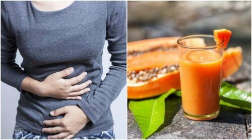 Bekjemp betennelse og tarmgass med aloe vera og papaya
