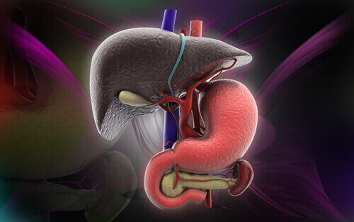 faresignaler på fettleversykdom