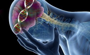 9 overraskende effekter av lave serotoninnivåer