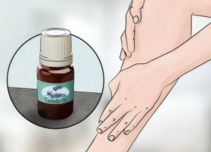 Lavendel: En fantastisk eterisk olje for huden din og hjemmet